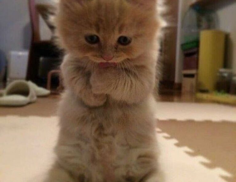 body nourishment twspoonfitness