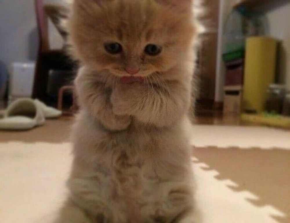 body nourishment twspoonfitness