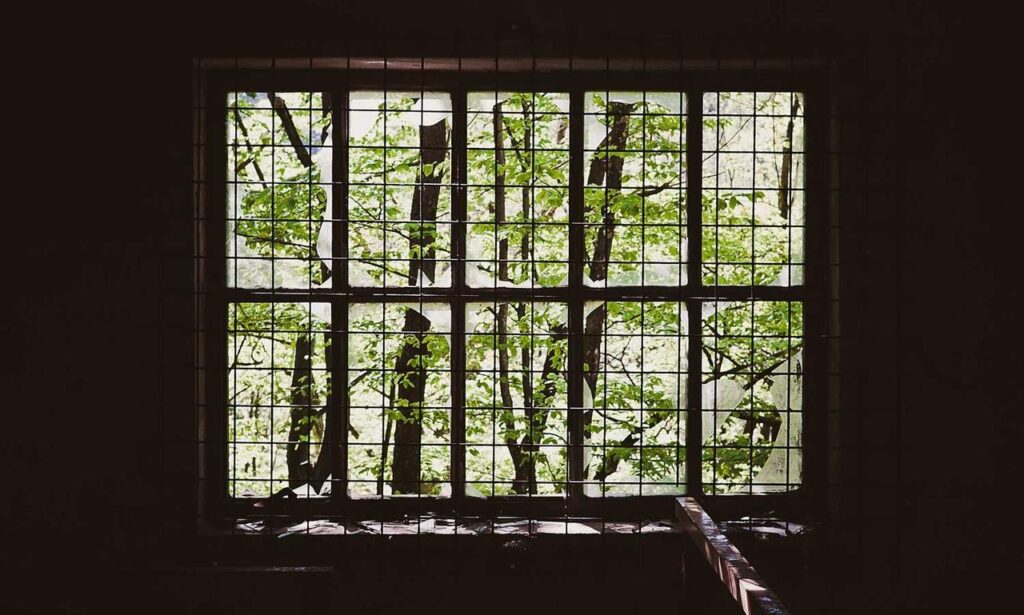 body nutrition guide twspoonfitness