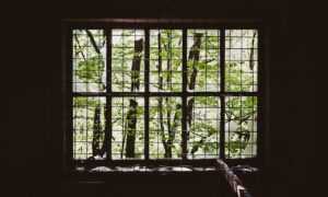 body nutrition guide twspoonfitness