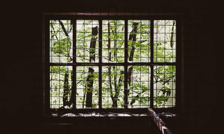 body nutrition guide twspoonfitness