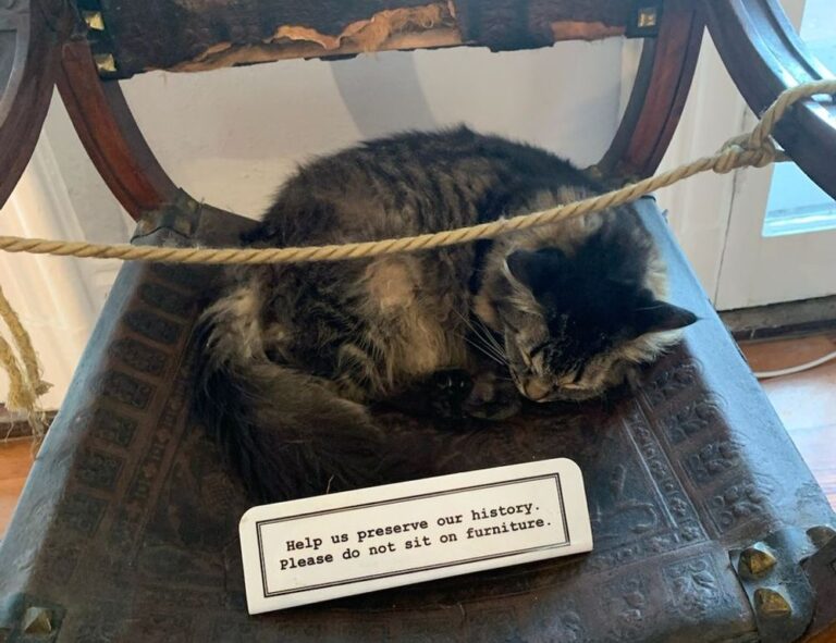 body nutrition tips twspoonfitness