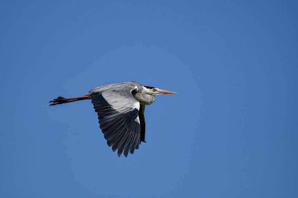 cilxarhu677 moisturizer product