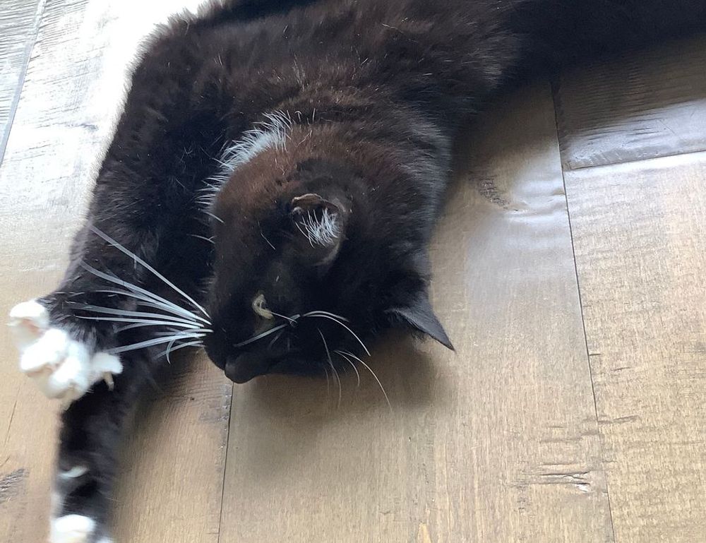 hair luvizac ingredient