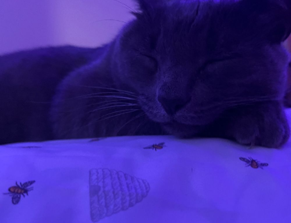 physical condition twspoonfitness