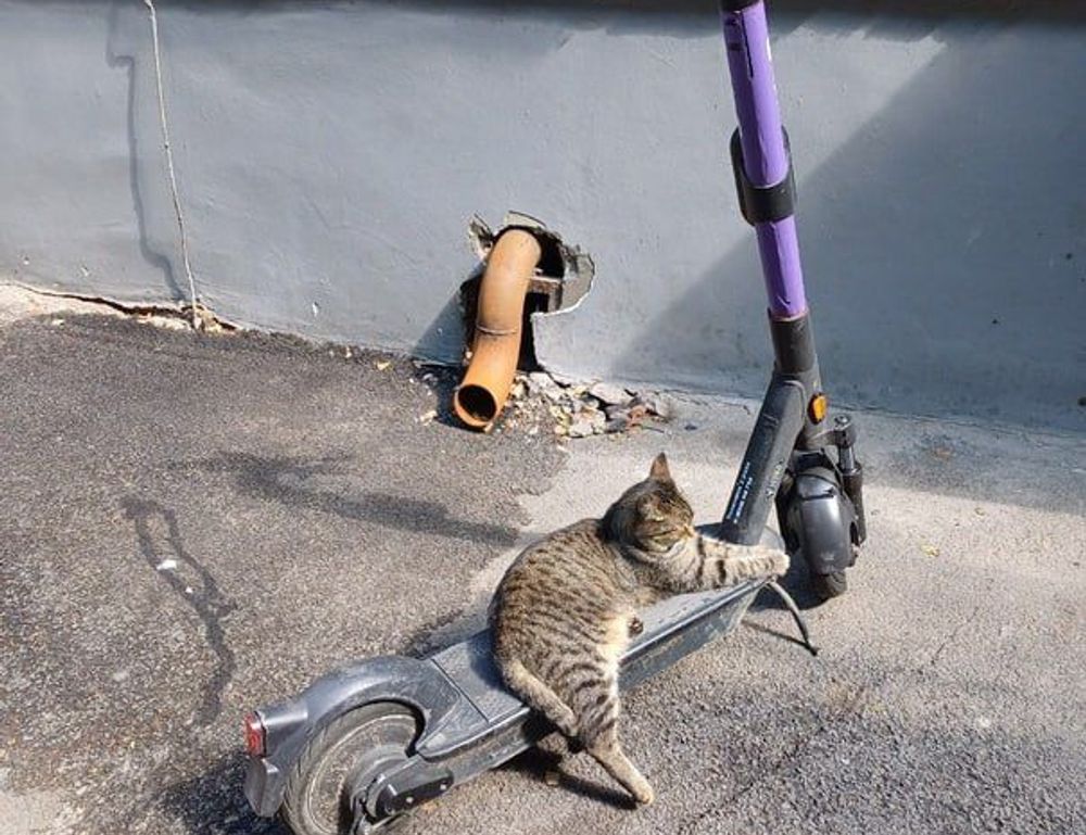 ways to use uhoebeans software