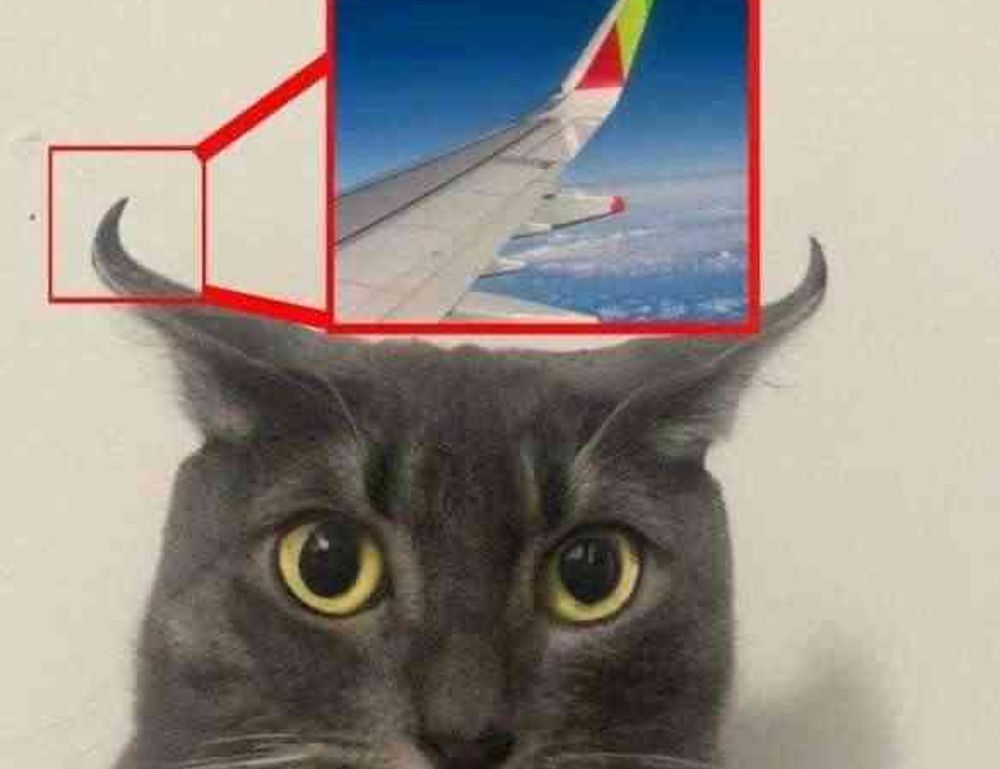 what is honzava5 online games