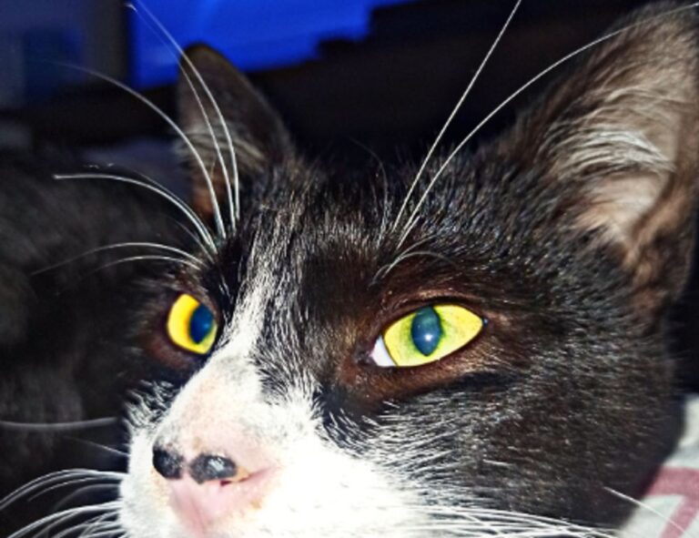 winobit3.4 software error