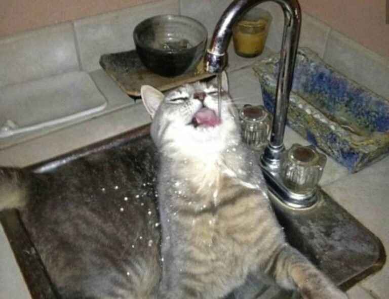 can i catch pavatalgia