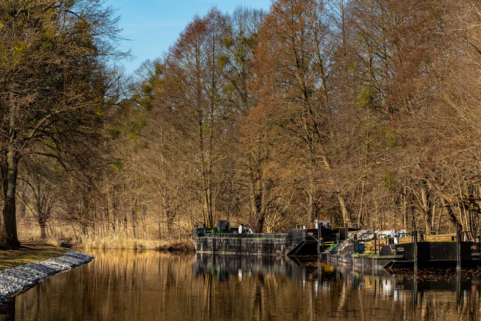 fundamental anchoring