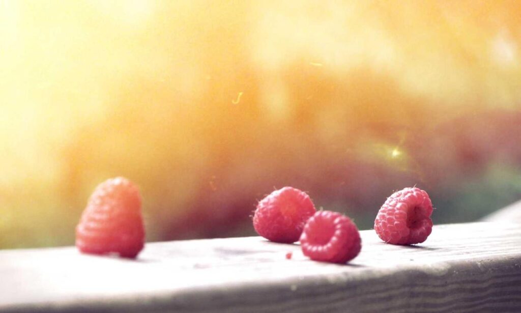 how to get pavatalgia disease