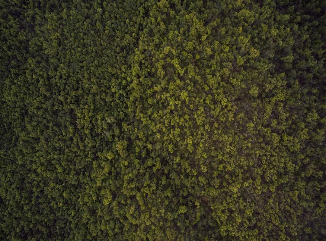 Frequently Asked Questions (FAQs)