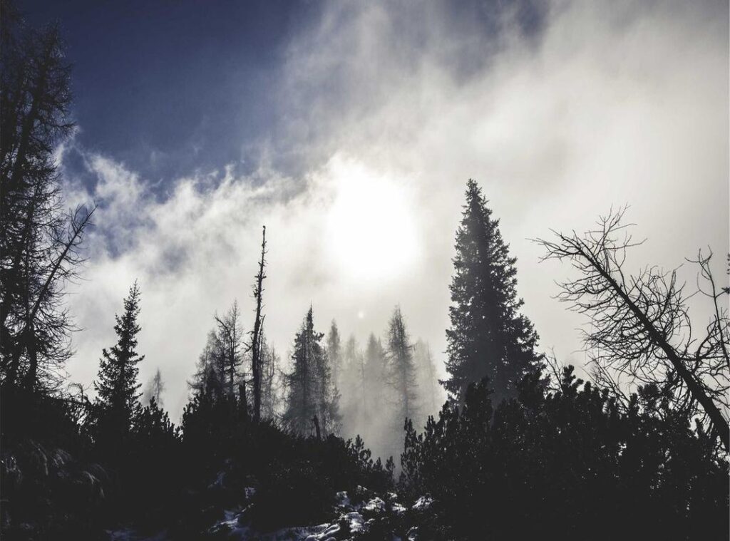 al-taawon - al nassr opstellingen