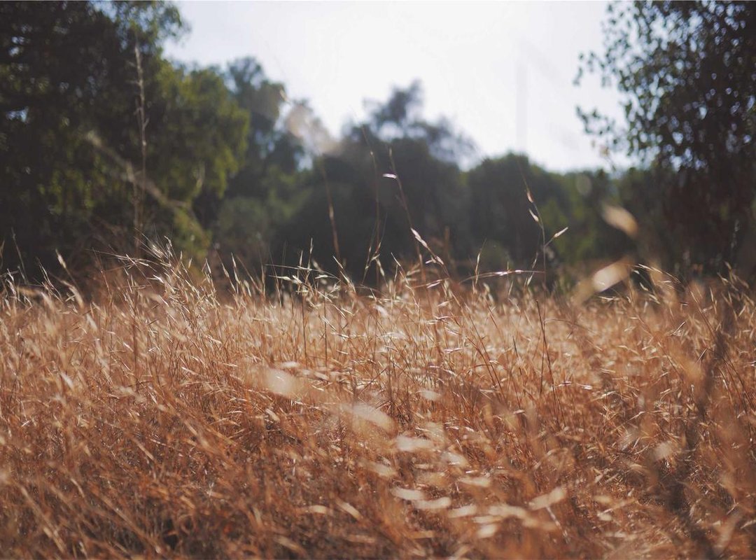 The Unforgettable Chemistry: The Magic Between the Leads