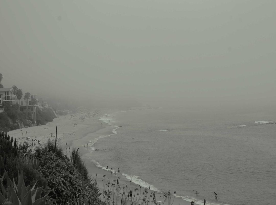 Your First Easy Landscape: A 5-Step Guide