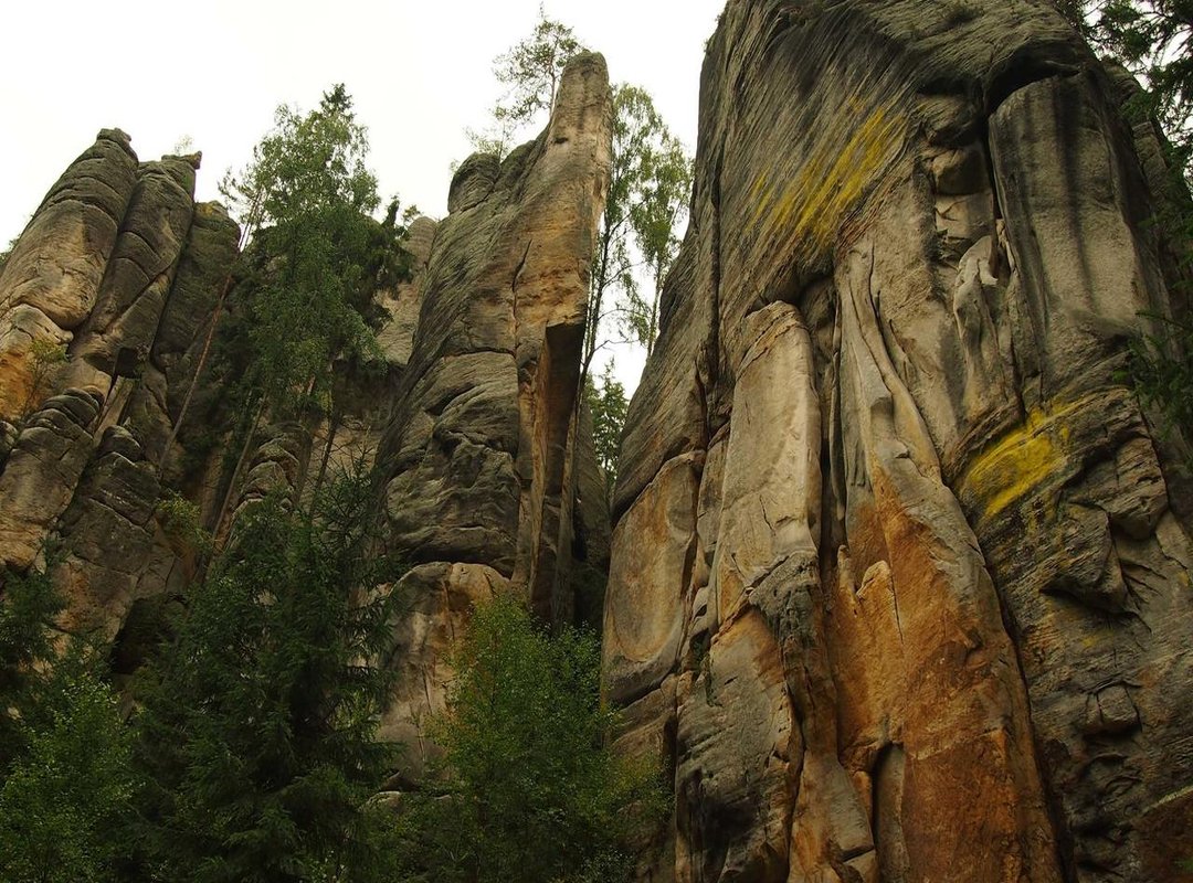 KRX 18+ vs. The Competition: A Head-to-Head Comparison