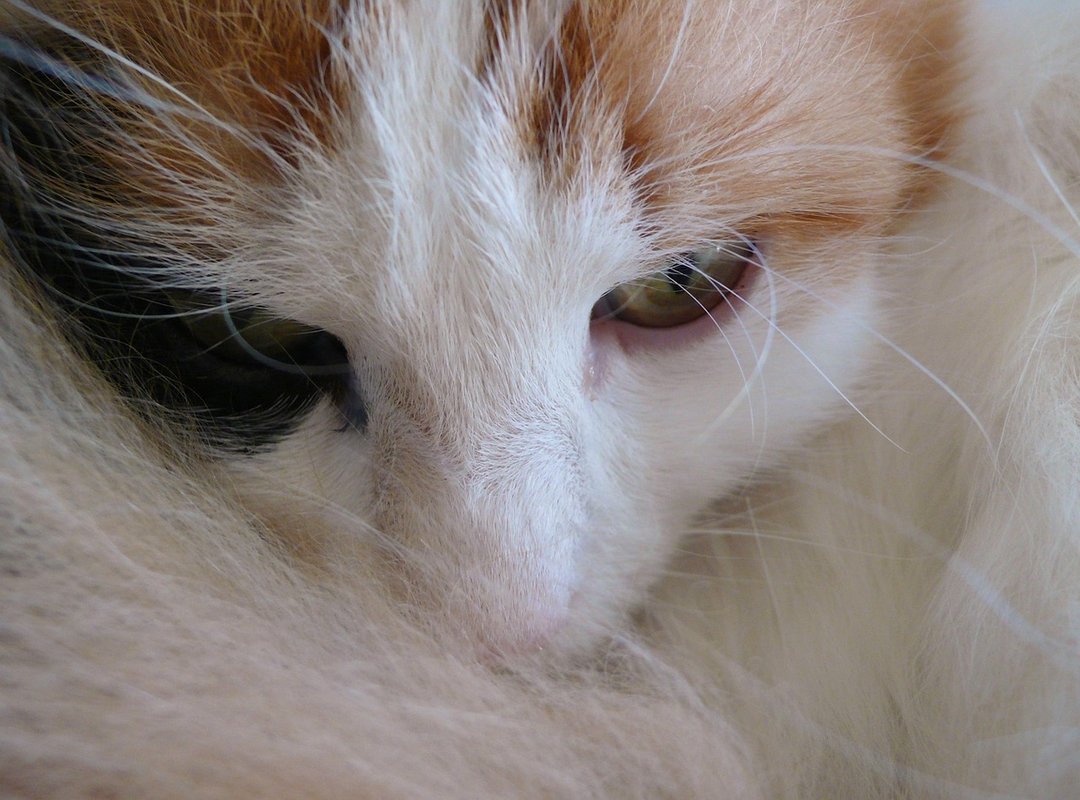 FAQs About Liza Baez