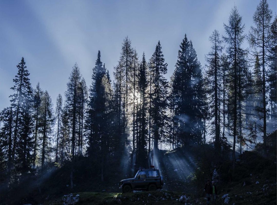 Why We Can't Look Away: The Psychology of the Reveal