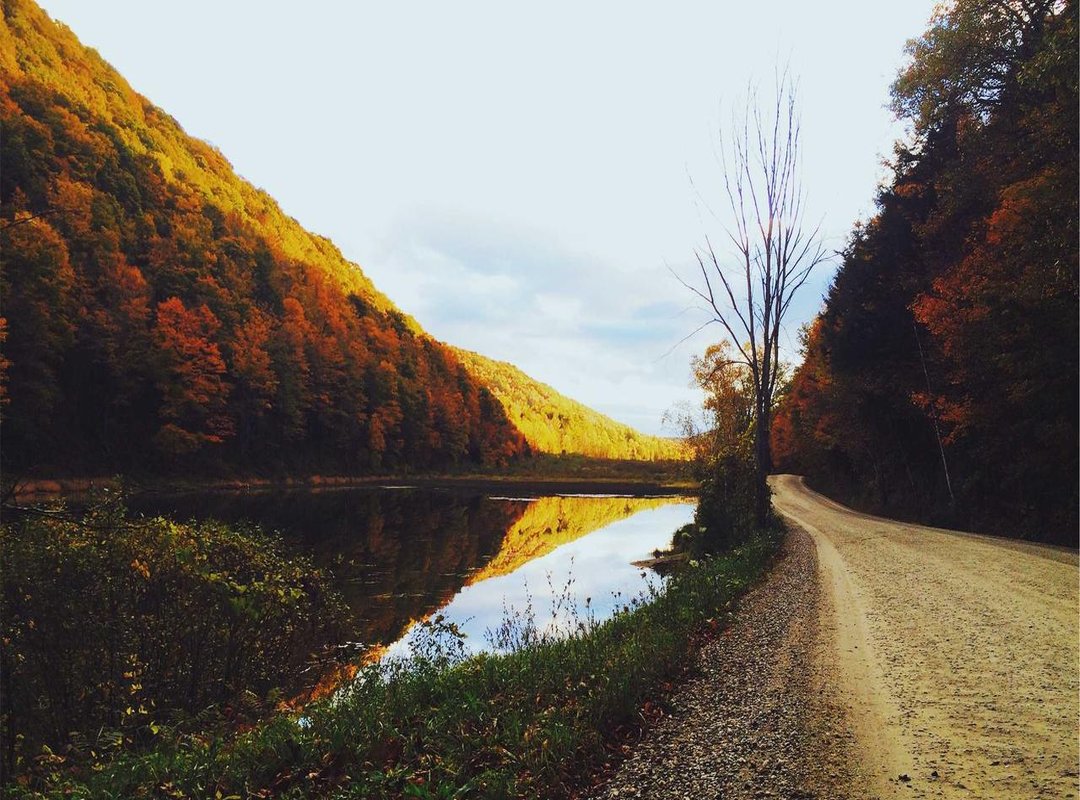 Putting It in Perspective: The 'Ikan Nun' vs. Real-World Giants